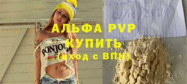 стаф Аркадак