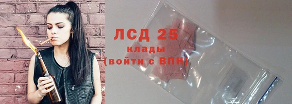 стаф Аркадак