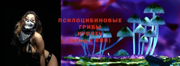 МДПВ Арсеньев