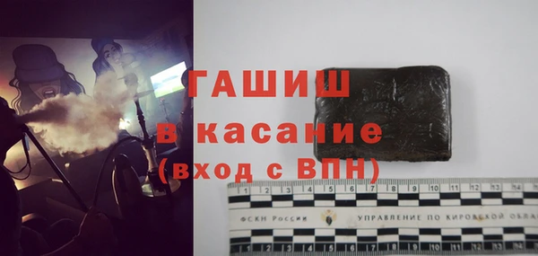 стаф Аркадак