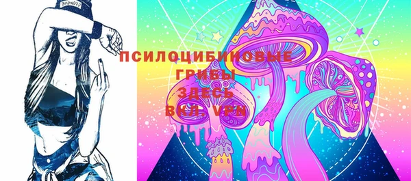 стаф Аркадак