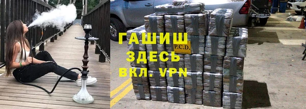 стаф Аркадак