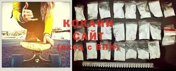 стаф Аркадак