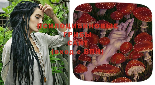 стаф Аркадак