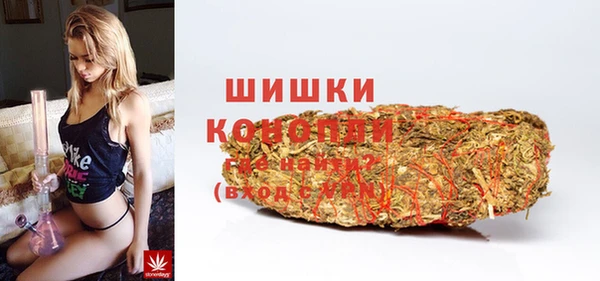 стаф Аркадак