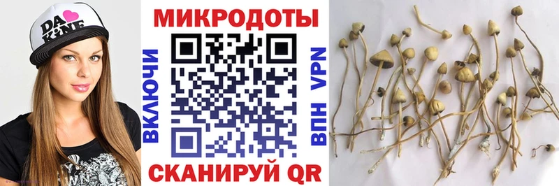 Псилоцибиновые грибы Psilocybine cubensis Козьмодемьянск