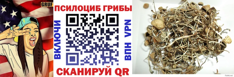 Псилоцибиновые грибы MAGIC MUSHROOMS  Козьмодемьянск 